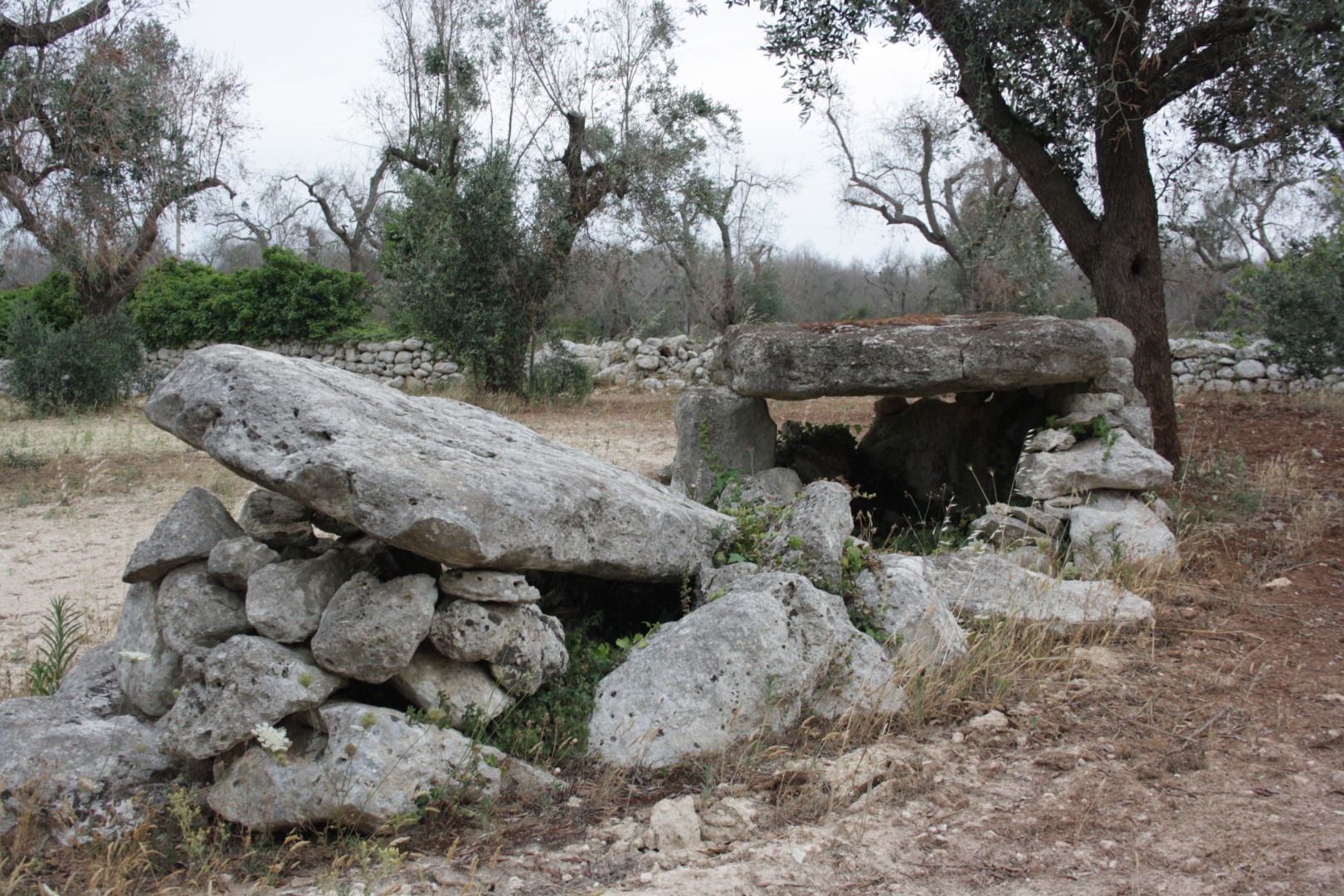 Dolmen Grassi